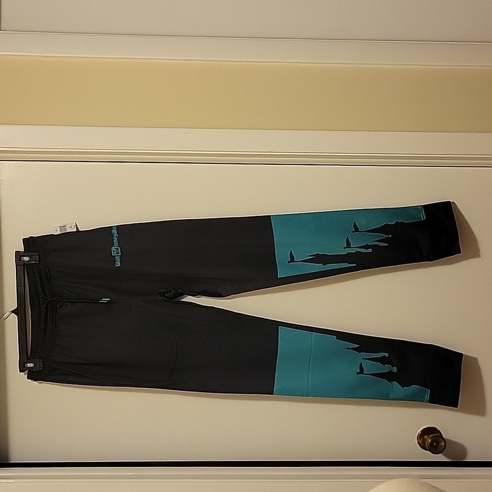 NWT: Walt Disney World Cinderellas Castle Track Pants